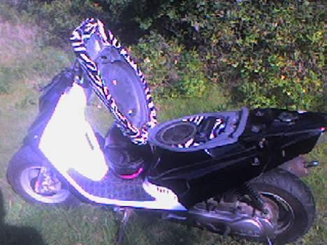 PGO hot 50 solgt billede 4