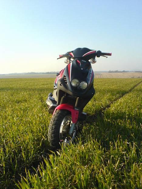 PGO PMX Sport "tilsalg" billede 1