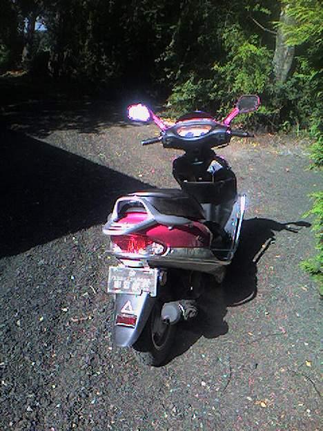 Giantco Det lyserøde lyn - Her har vi "dyret" bagfra heh billede 2