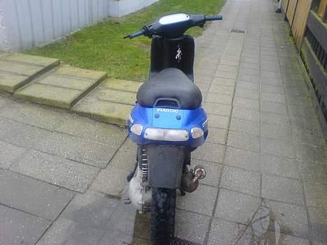 Piaggio typhoon (solgt) billede 8