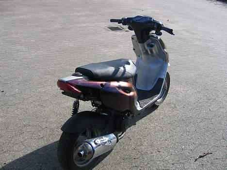 CPI Chameleonen billede 15