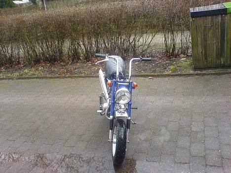 Honda Dax. Stjålet. billede 3