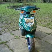 PGO hot 50 før projekt