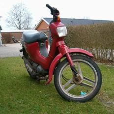 Honda Wallaroo (stjålet)