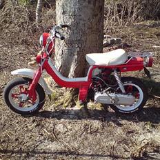 Suzuki Fz50. Øl-Jollen! SOLGT