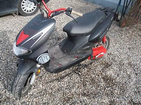 CPI hussar bytte/ til salg!!! billede 1