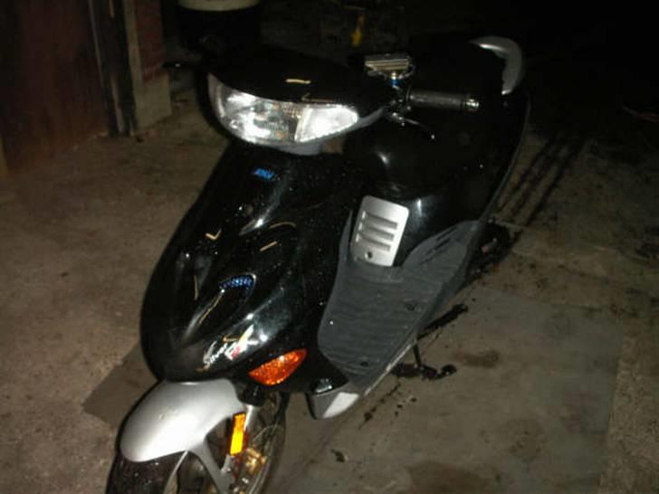 Adly silver fox solgt billede 1