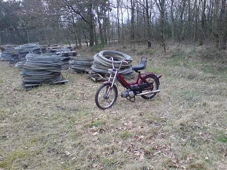 Puch Maxi K billede 14