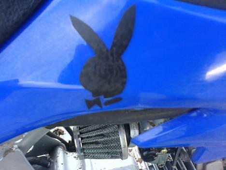 MiniBike Crosser (Solgt) - Playboy Staffering billede 6