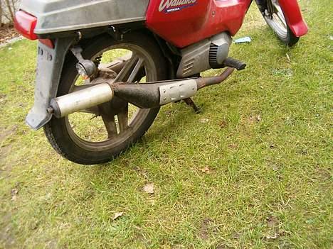 Honda Wallaroo (stjålet) billede 3