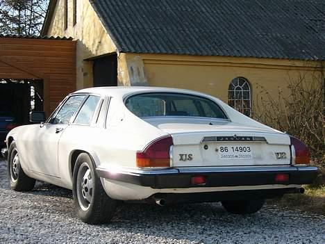 Suzuki smx/tzr nakket  - svigerfars dyt billede 13