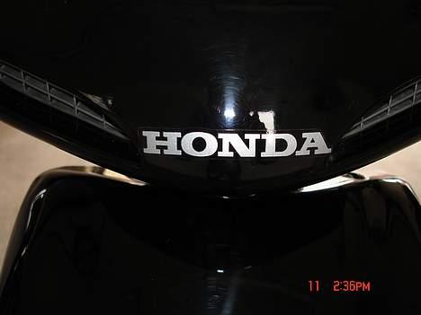 Honda SFX **SOLGT* billede 6