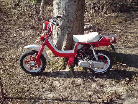 Suzuki Fz50. Øl-Jollen! SOLGT billede 2