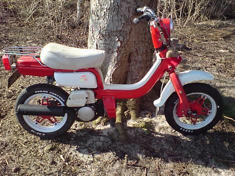 Suzuki Fz50. Øl-Jollen! SOLGT billede 4