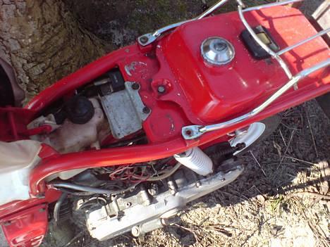 Suzuki Fz50. Øl-Jollen! SOLGT billede 5