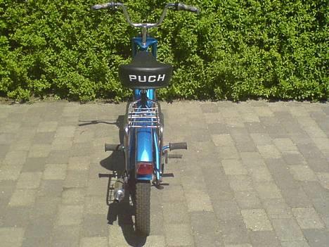 Puch Maxi K   - Gammel Billede.. billede 8