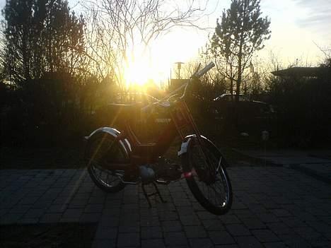 Puch maxi k e50 solgt (efter) billede 13
