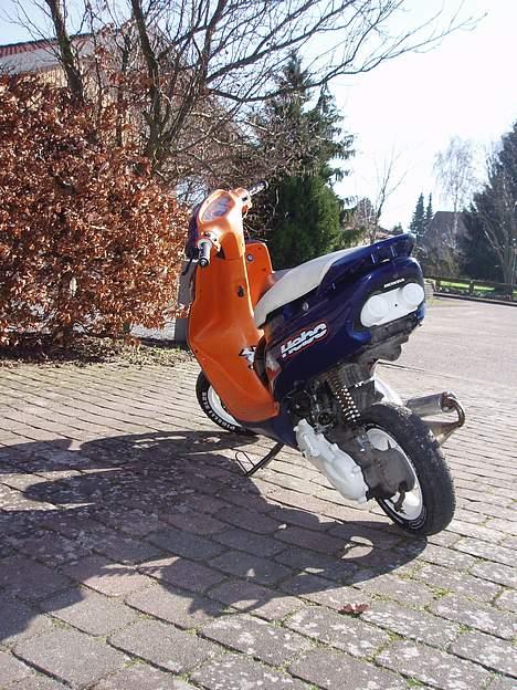 Honda SFX SOLGT - Som den står en dejlig dag. Den 12 marts. mangler bare at få malet resten og neon under. billede 18