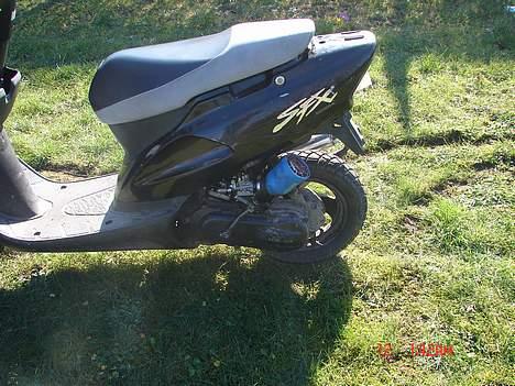 Honda SFX byttet til zip billede 6