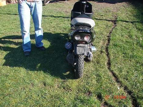 Honda SFX byttet til zip billede 9