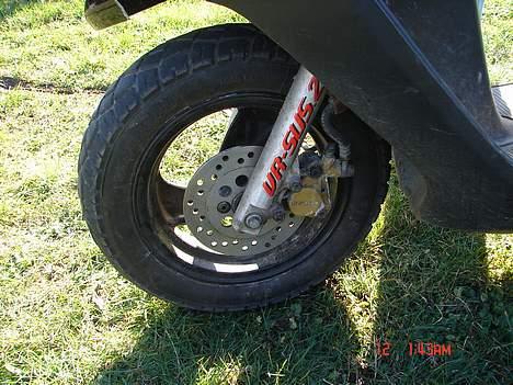 Honda SFX byttet til zip billede 13