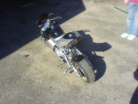 MiniBike 110 ccm. - Røven billede 12