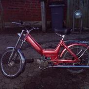 Puch maxi (SOLGT) :-)