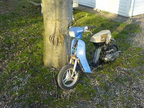 Honda melody billede 1