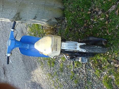 Honda melody billede 3