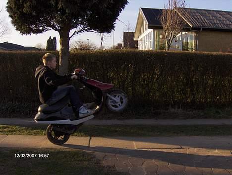 PGO comet (byttet til jog s) billede 12