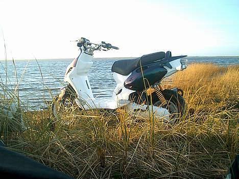 PGO Pmx Naked [RIP] billede 1