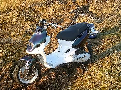 PGO Pmx Naked [RIP] billede 5