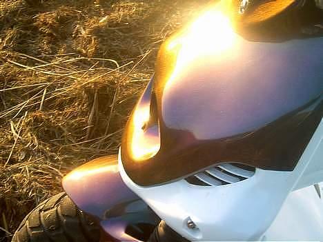 PGO Pmx Naked [RIP] billede 8