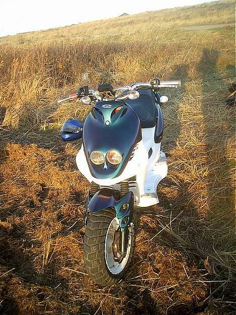 PGO Pmx Naked [RIP] billede 9