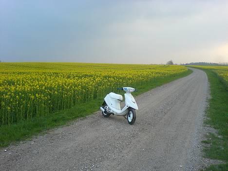 Yamaha Jog Fine Selection - Ja, det var den gang billede 3