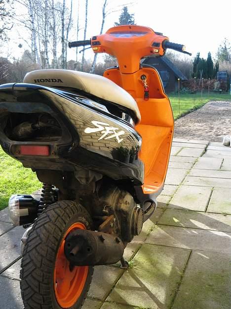 Honda SFX - SOLGT billede 5