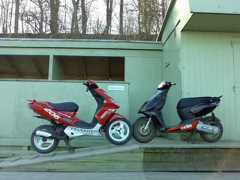 Peugeot speedfight 206wrc (solgt) billede 6