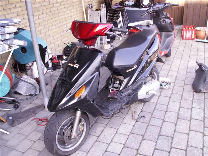 Kreidler Easy Rider / Neos Solgt billede 1