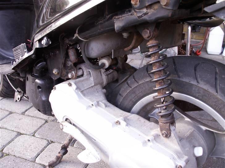 Kreidler Easy Rider / Neos Solgt billede 4