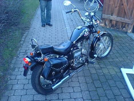 Regal regal raptor  Byttet! billede 1