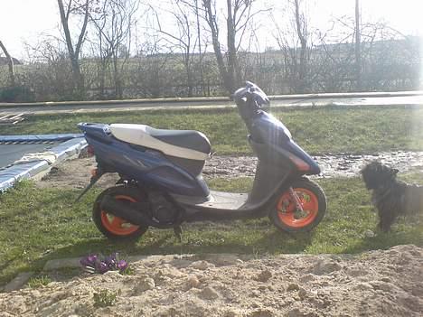 Honda sfx ( solgt ) billede 3