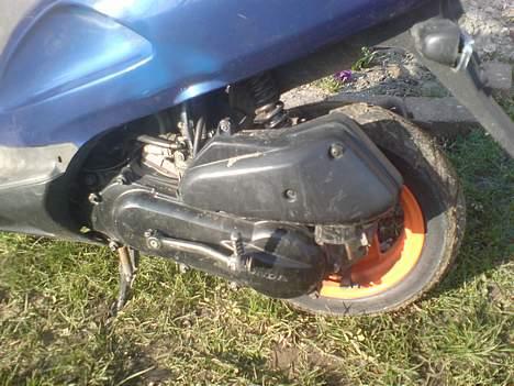 Honda sfx ( solgt ) billede 6