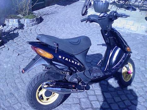 Gilera ^Projekt_Stalker -  NYDELIG! billede 18