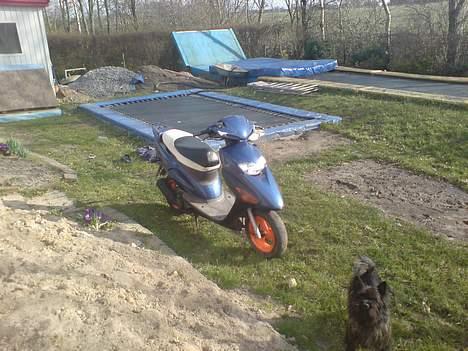 Honda sfx ( solgt ) billede 10