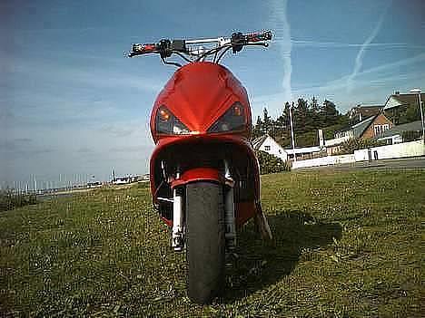 Benelli 491 / EvoNelli - Muligvis hvordan den slutter med at se ud... Bare med lav frempind og anden farve varioskjold! Tak til Steven for billedet! ! billede 12