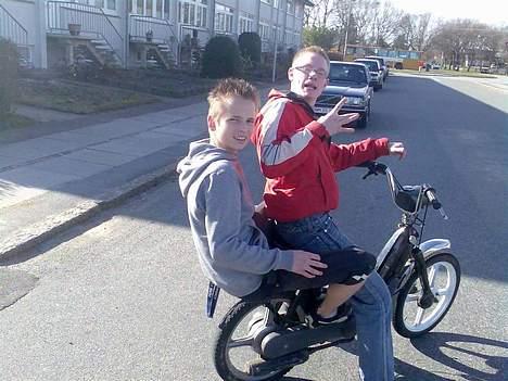 Piaggio ciao (solgt) billede 5