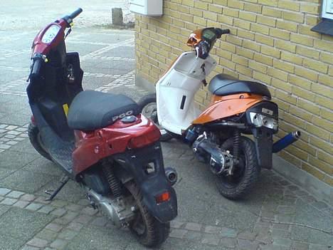 PGO Hot 50 - Min PGO og Martin´s Jog billede 7