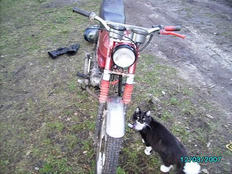 Puch monza billede 5