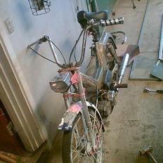 Puch [SOLGT] maxi kl