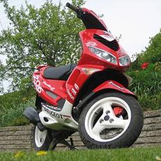 Peugeot Speedfight 2 WRC 206